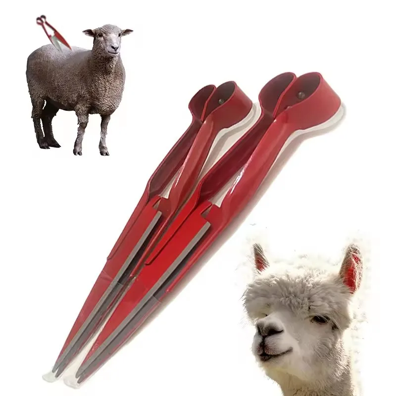 Sheep Shears | Heavy Duty Pruning Scissors | Livestock & Garden Use - Thumbnail 5