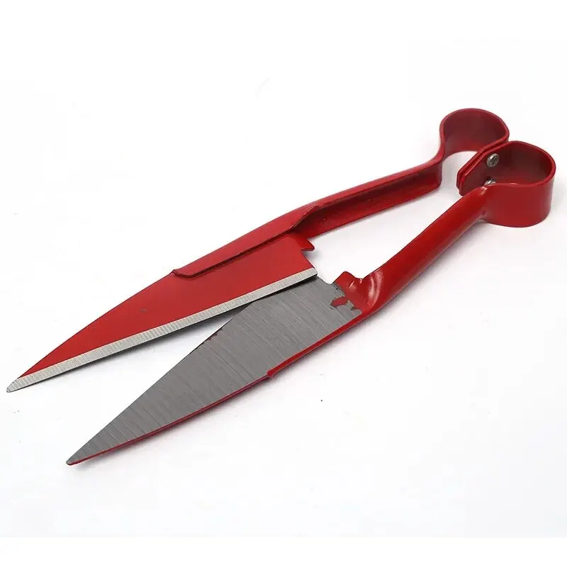 Sheep shears, a single product on a clean white background.
