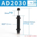 AD2030