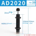 AD2020