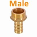 Male