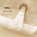 Milky-2x2