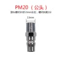 PM20