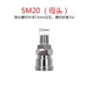 SM20