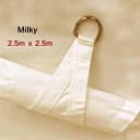 Milky-2.5x2.5