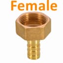 Femal