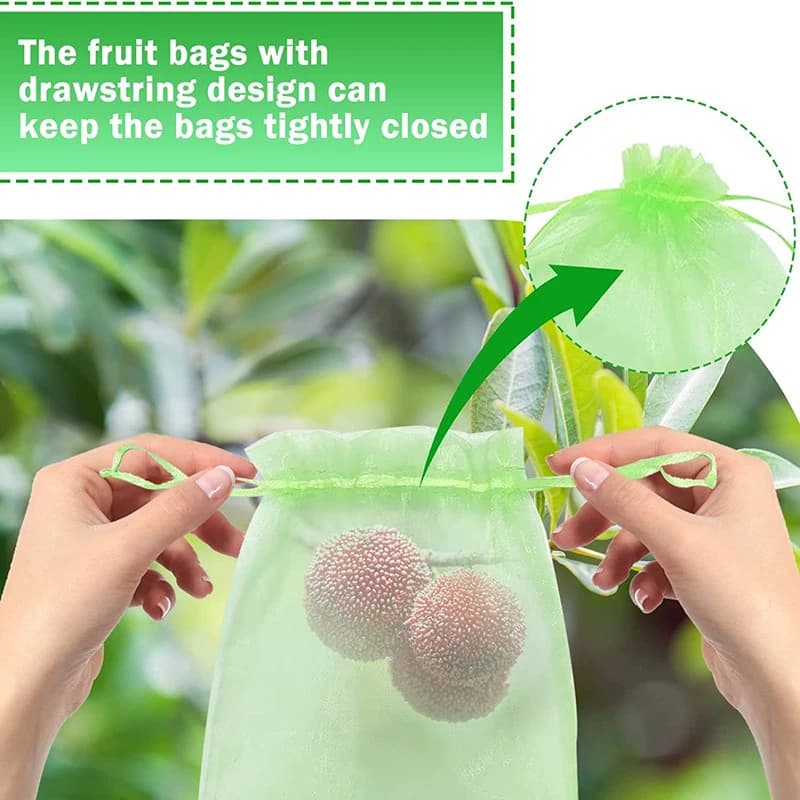 Grow Bags | Anti-Bird Fruit Mesh Netting | For Grapes & Garden - Thumbnail 3