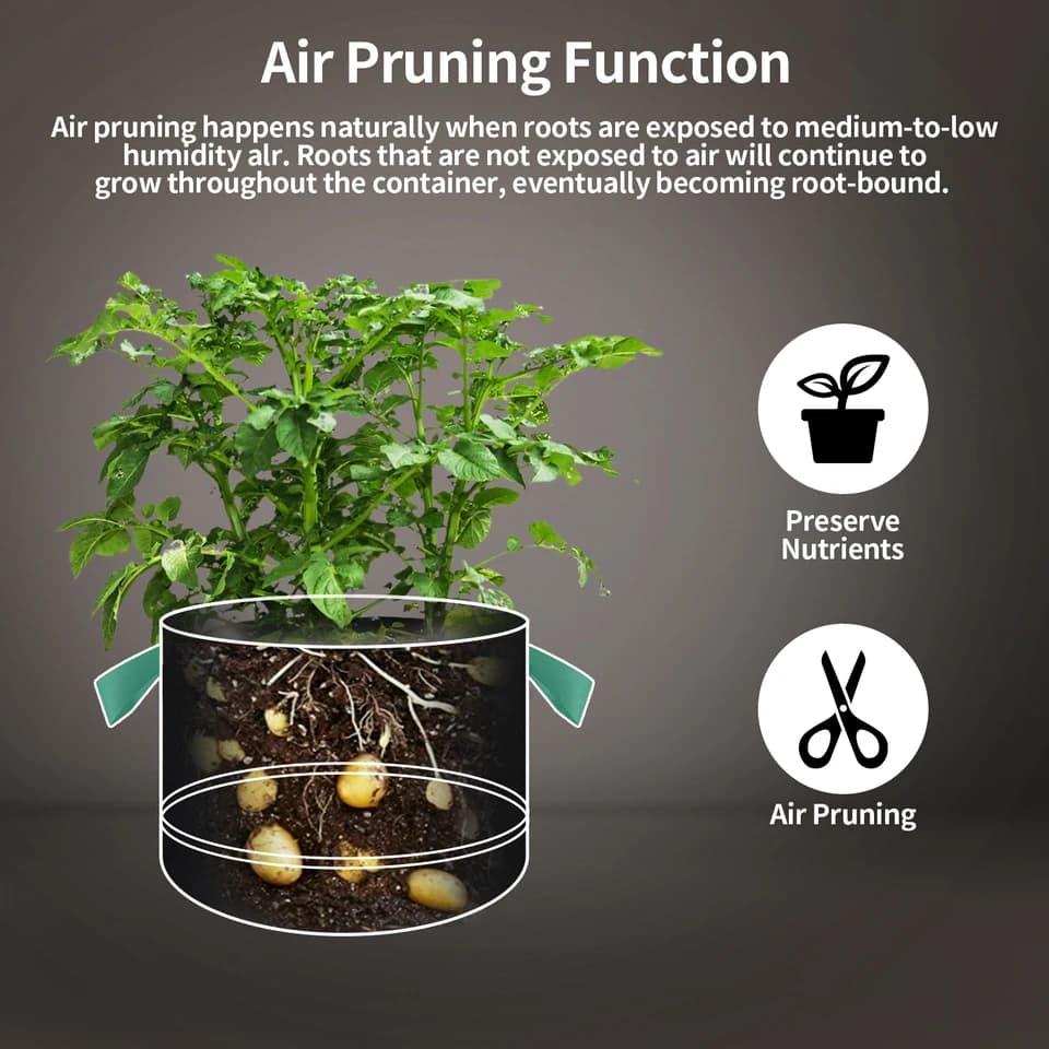 Grow Vegetable Bags | 5-20 Pack | 5/10/15 Gallon Fabric Pots with Handles - Thumbnail 2