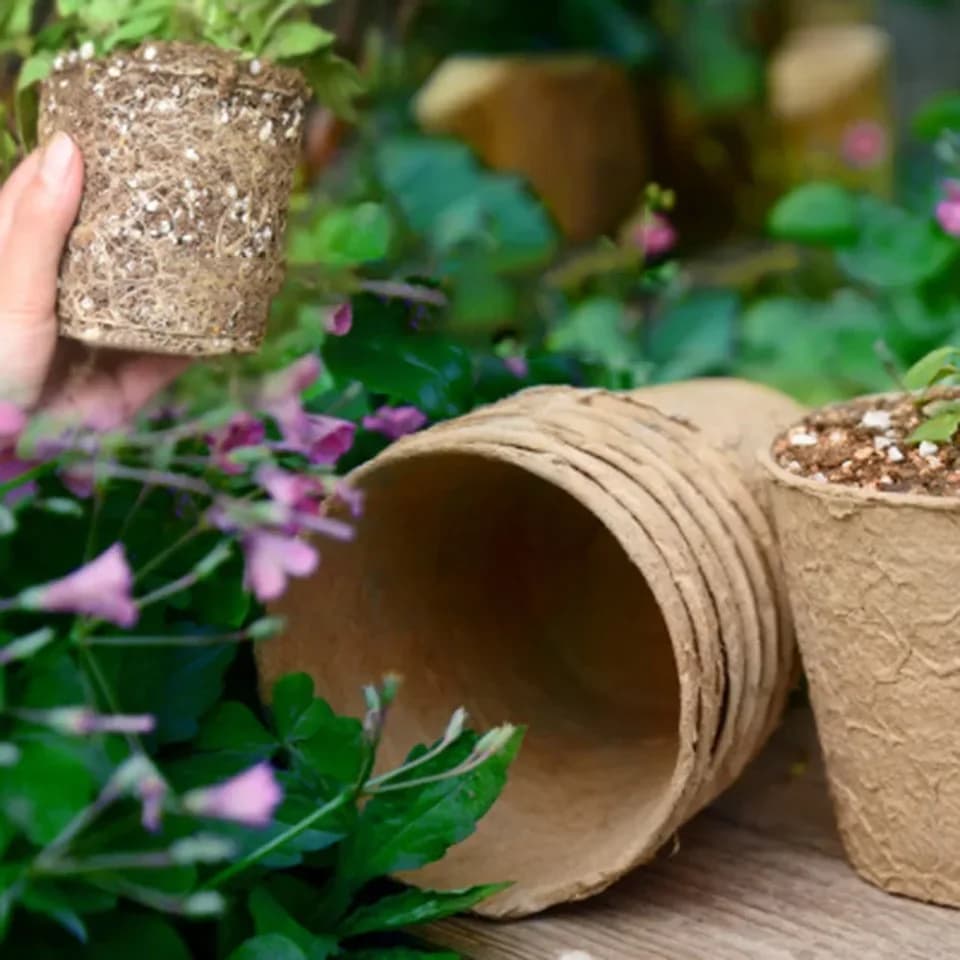 6cm Biodegradable Seed Plant Trays | 50pc Peat Pots | Eco-friendly Seedling Starters - Thumbnail 4