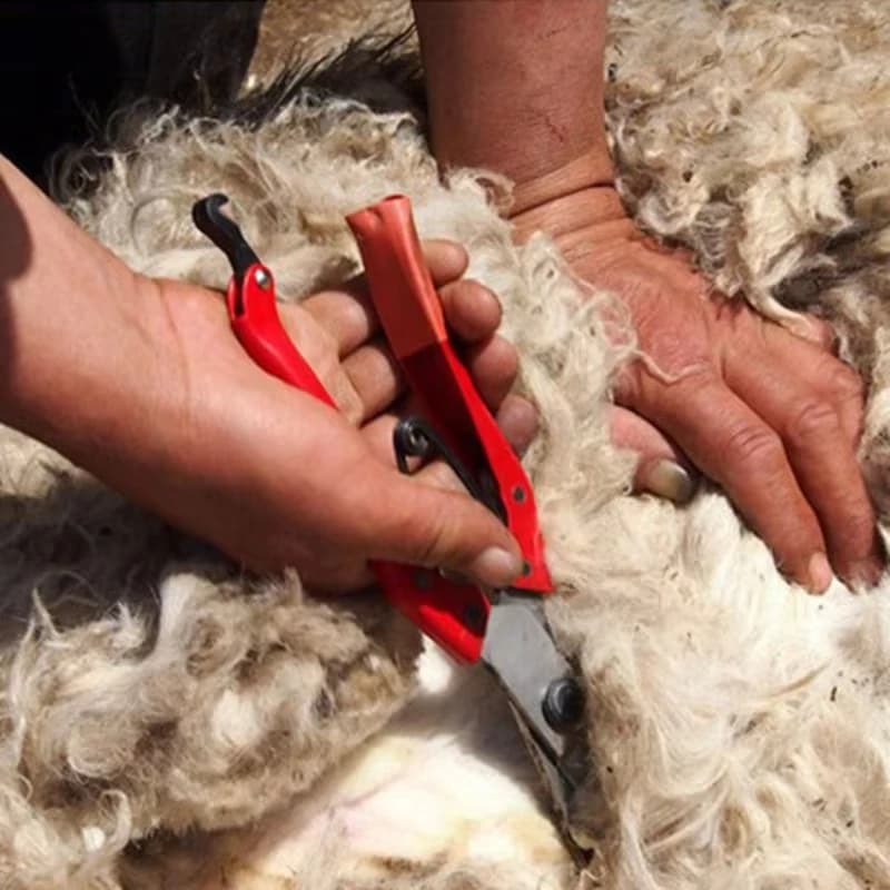 Sheep Shears | Spring-Loaded Manganese Steel Blades | Farm & Pet Shearing Tool - Thumbnail 4