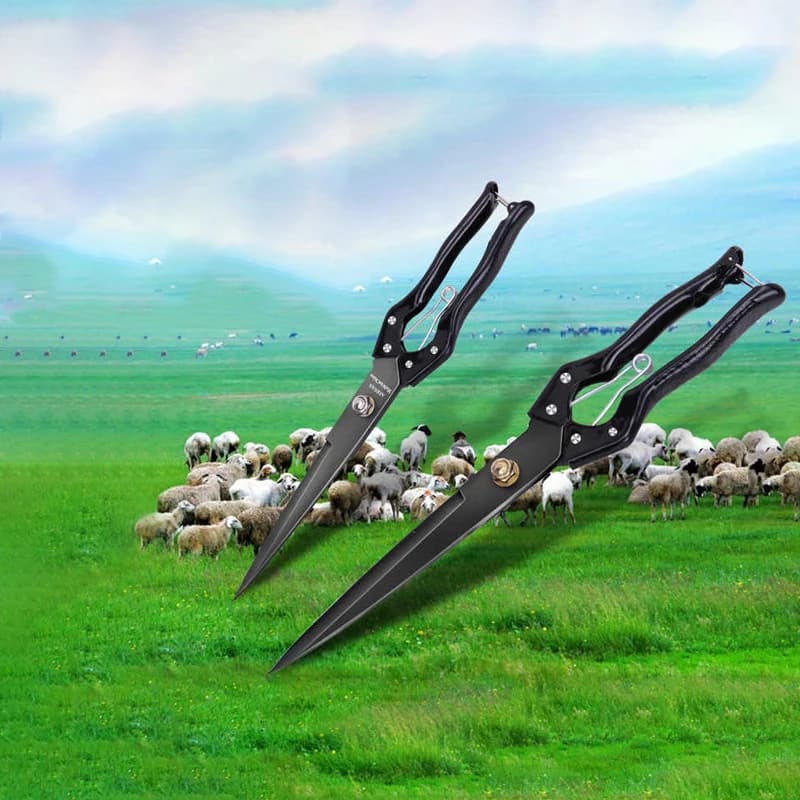 Sheep Shears | 26-34cm Carbon Steel Blade | Lamb & Goat Wool Trimmer - Thumbnail 3