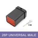 26P Male