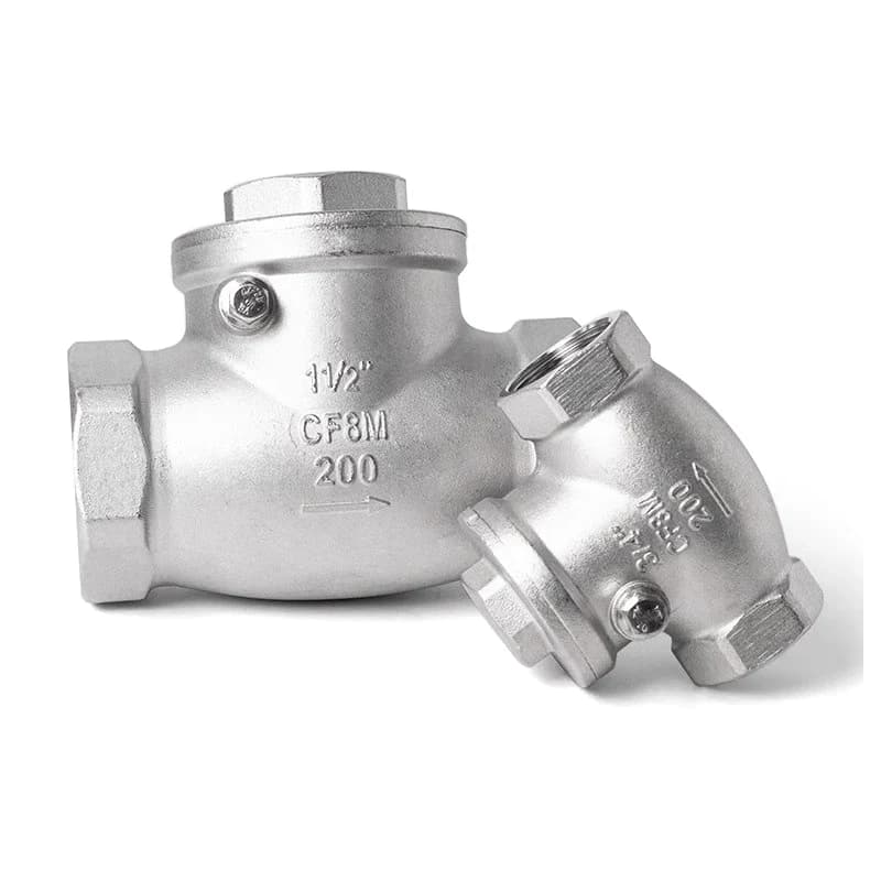 BSP Double Check Valve | SS304/316 Swing Check | 1/4" to 2" Industrial Pipe - Thumbnail 4