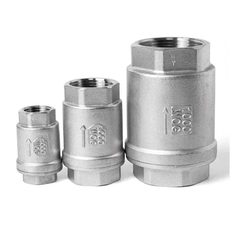 SS304/316 BSPT Inline Double Check Valve | Vertical Lift Spring | DN15-DN25 - Thumbnail 2