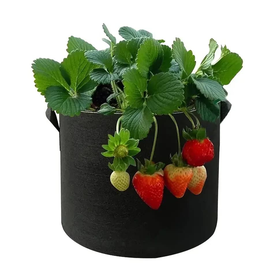 Plant grow bags: a black bag with a strawberry plant on a white background.