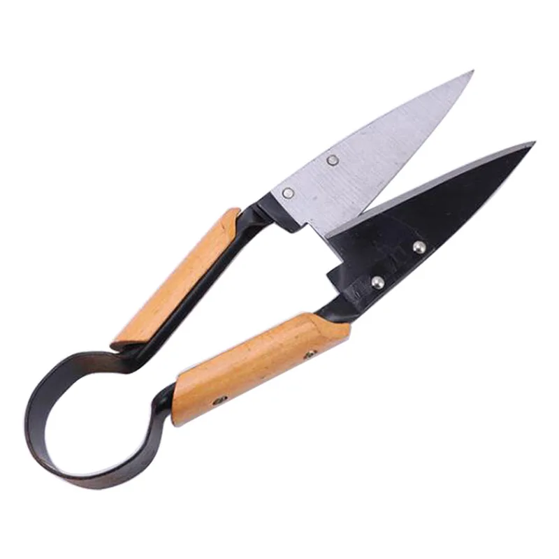 Sheep shears, a single pair on a plain white background.
