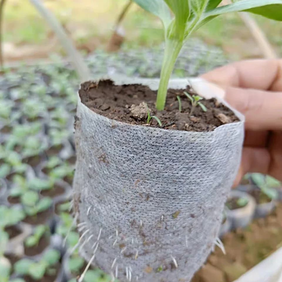 Biodegradable Plant Grow Bags | Non-Woven Seedling Pots | 100-500pc Trade Pack - Thumbnail 6