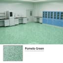 Grapefruit Green