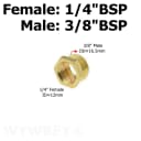 Female 02-Male 03