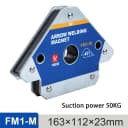 FM1M 1Pcs