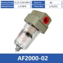 AF2000-02