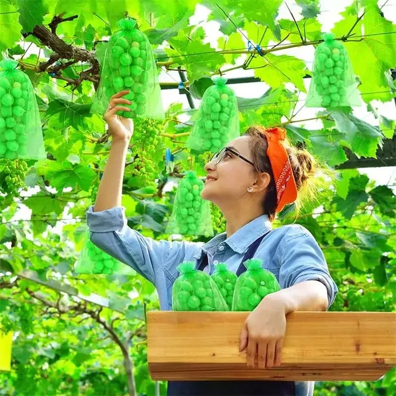 Control Strawberry Grow Bags | 50 Pcs | Breathable Mesh Fabric - Thumbnail 3