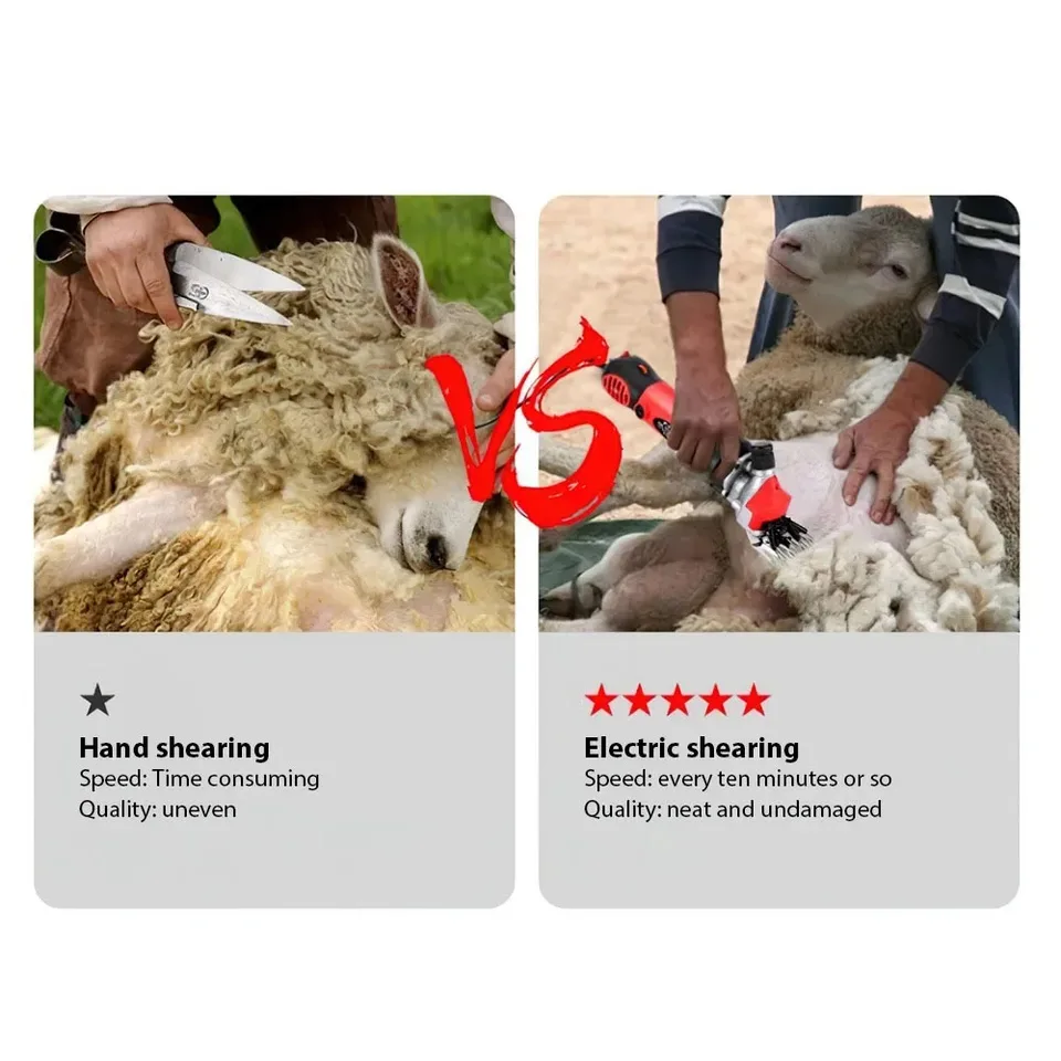 6 Speed Electric Sheep Shears | 13 Teeth Plug-in Shearer Kit | Pet & Farm Animal Clippers - Thumbnail 5
