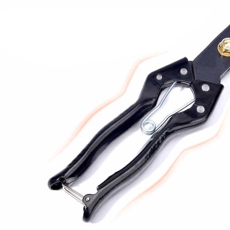 Sheep shears: a single pair of pruning shears on a plain white background.
