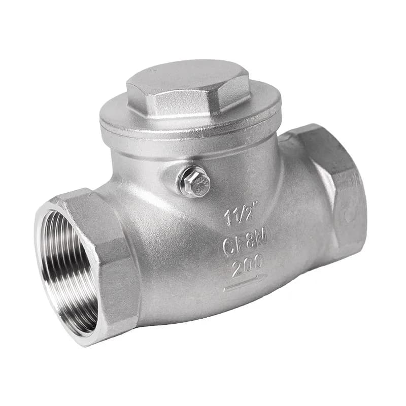 BSP Double Check Valve | SS304/316 Swing Check | 1/4" to 2" Industrial Pipe - Thumbnail 6