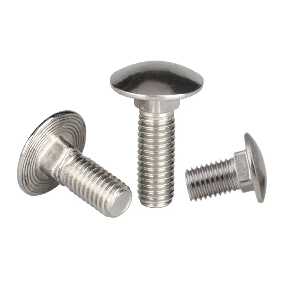 M6-M12 Coach Bolts | DIN603 Stainless Steel | Round Head Square Neck - Thumbnail 5