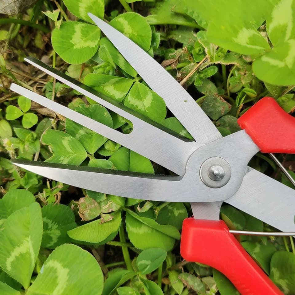 Secateurs | Double-Blade Pruning Shears | For Harvesting & Trimming - Thumbnail 4