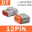 DT-12P