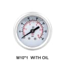 M10 -1 With oil