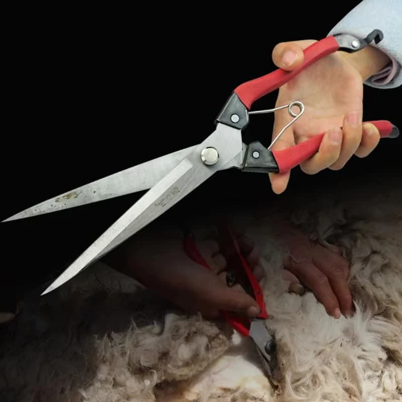 Sheep Shears | Spring-Loaded Manganese Steel Blades | Farm & Pet Shearing Tool - Thumbnail 2