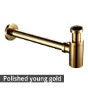 Polished Gold