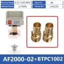 AF w BT1002