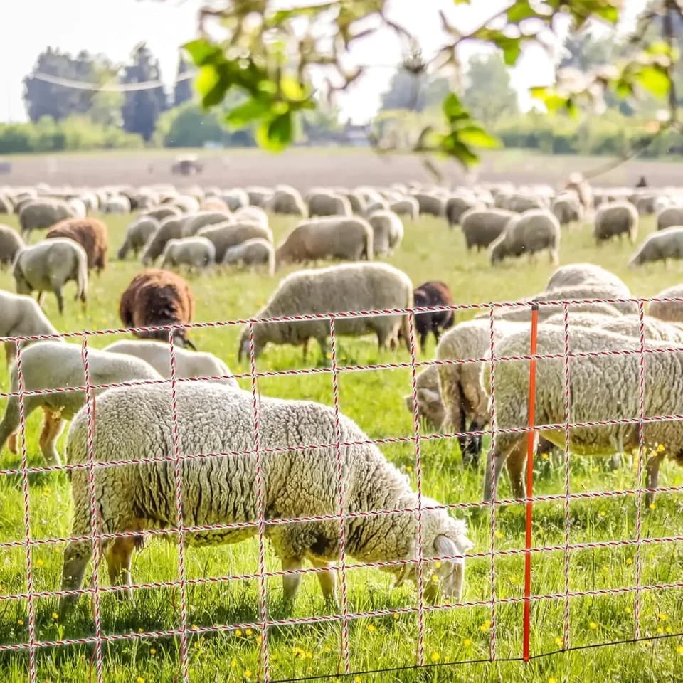 for Electric Fence Energiser | 500m Steel Conductor Rope | For Livestock - Thumbnail 6