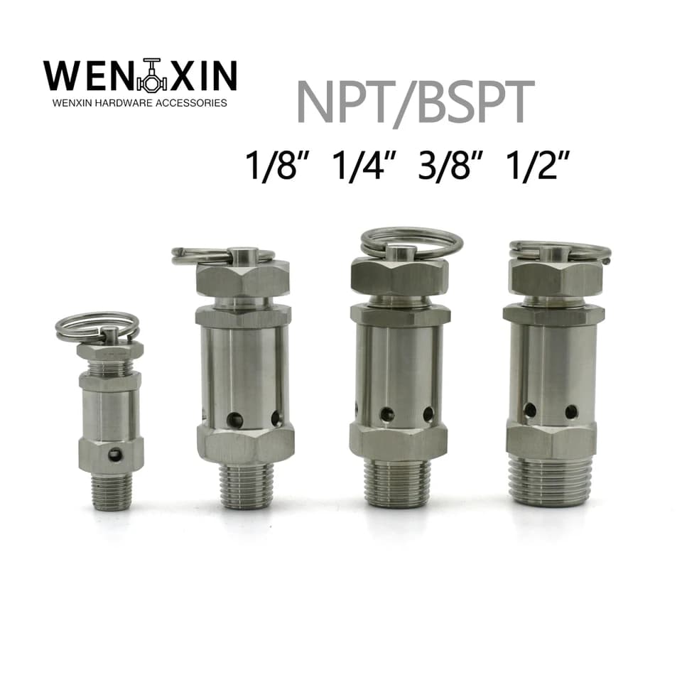 2 1/2 Gate Valve | 304 Stainless Steel | 1-10 Bar Air Compressor Exhaust - Thumbnail 2