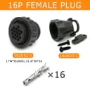 16P Female