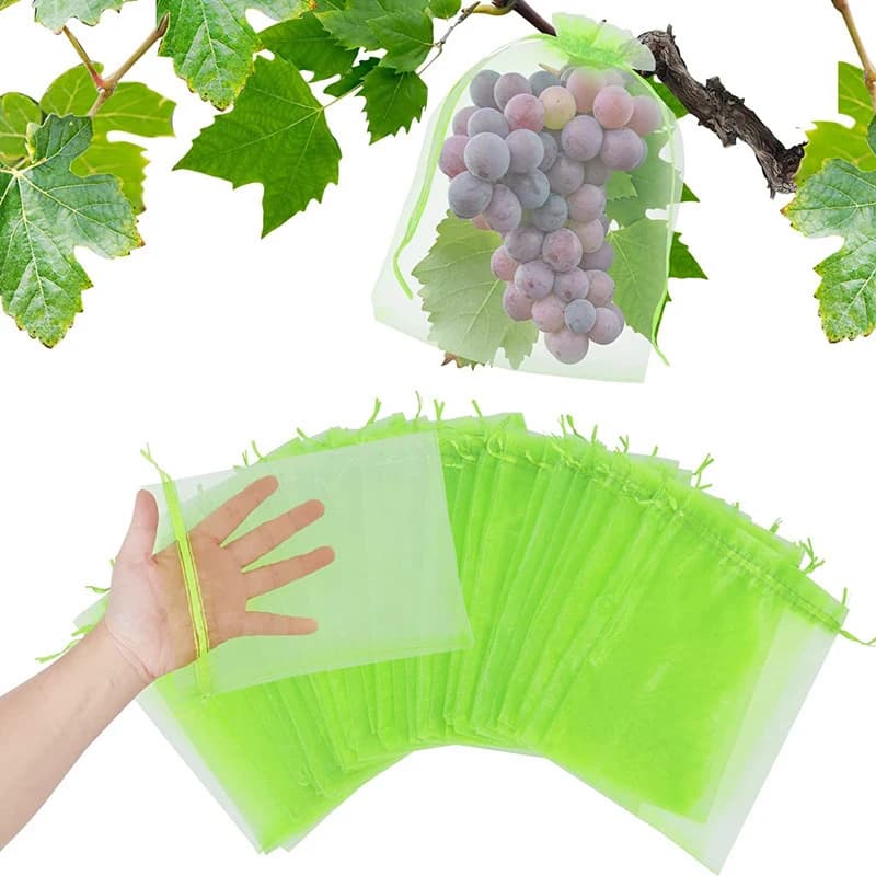 Grow Bags | Anti-Bird Fruit Mesh Netting | For Grapes & Garden - Thumbnail 6