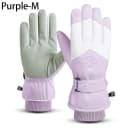 H62 Purple
