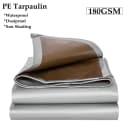 Silvery Brown