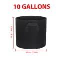 10 Gallon