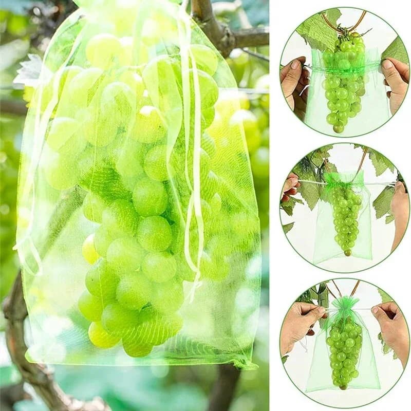 Control Strawberry Grow Bags | 50 Pcs | Breathable Mesh Fabric - Thumbnail 6