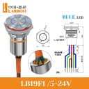 Flat Head B5-24V