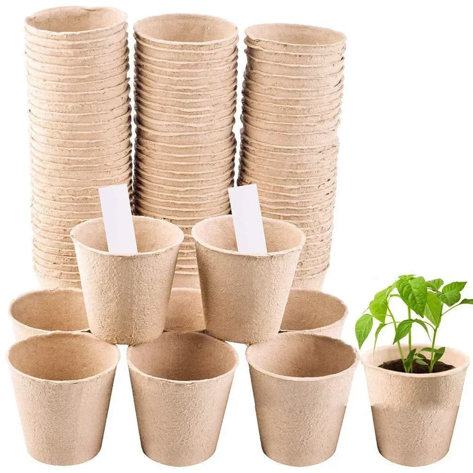 6cm Biodegradable Seed Plant Trays, some stacked, one with a small plant on white.