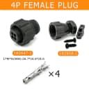 4P Female