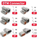 DTM