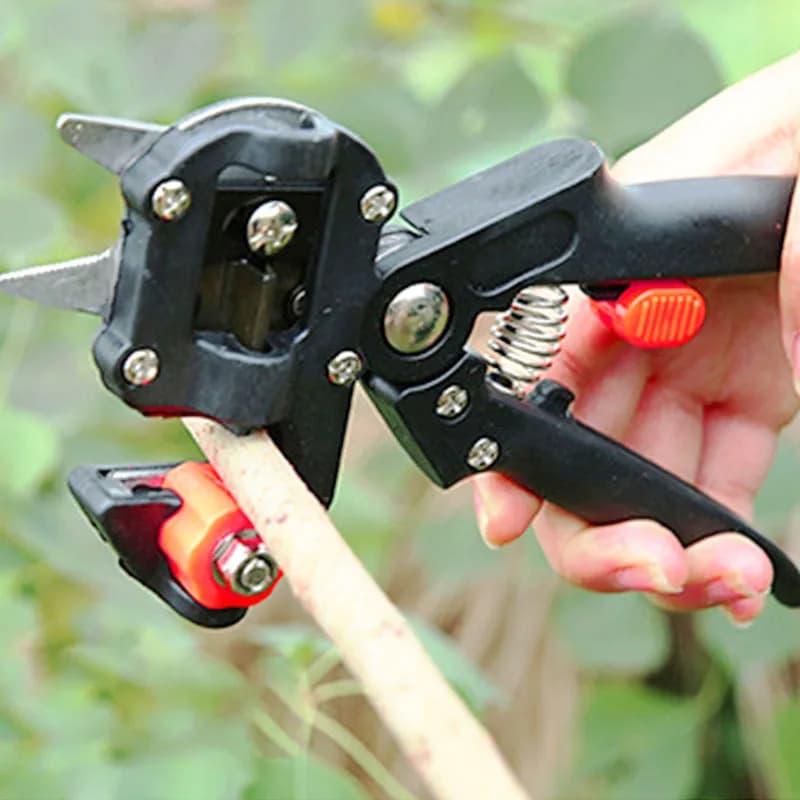 Grafting Secateurs | Branch Cutter & Pruner | Fruit Tree Tool - Thumbnail 4