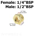 Female 02-Male 04-12